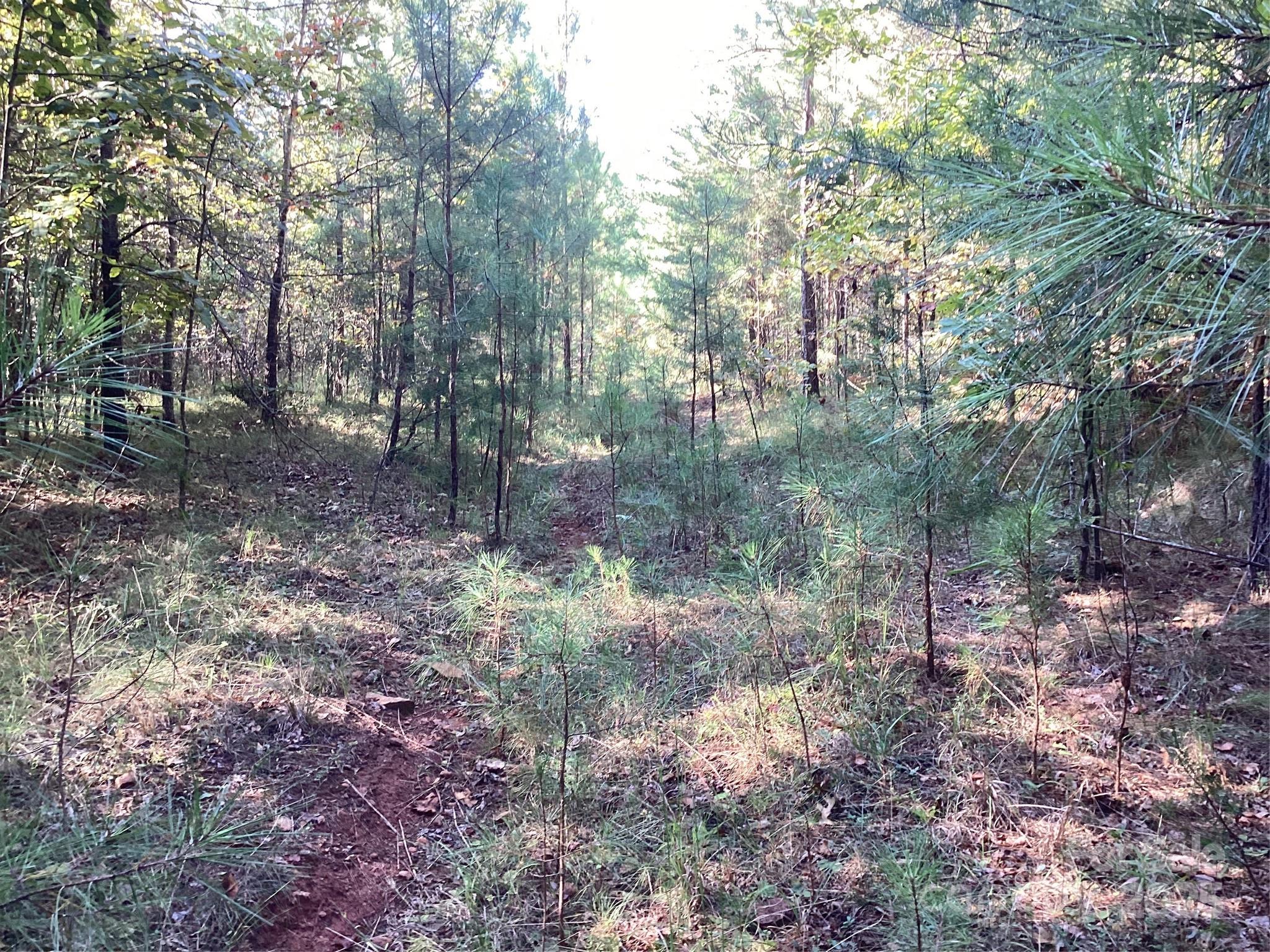 0 Chestnut Oak Trail Mill Spring, NC 28756 - Photo 11 of 37 a view of a yard with trees