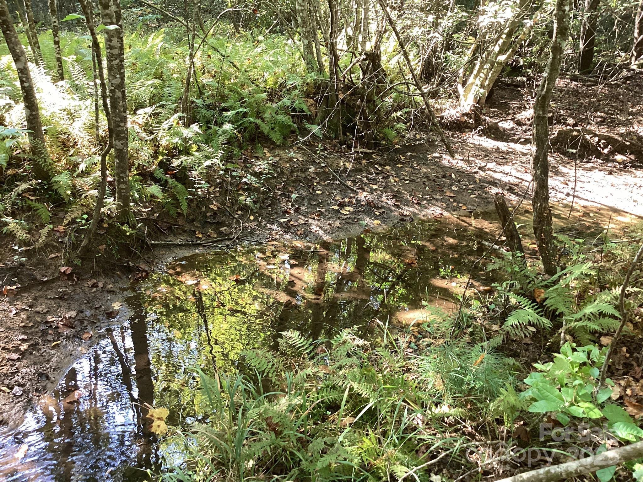 0 Chestnut Oak Trail Mill Spring, NC 28756 - Photo 15 of 37 a view of a tree in a yard