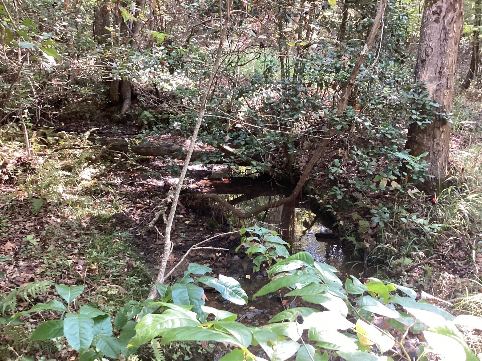 0 Chestnut Oak Trail Mill Spring, NC 28756 - Photo 16 of 37