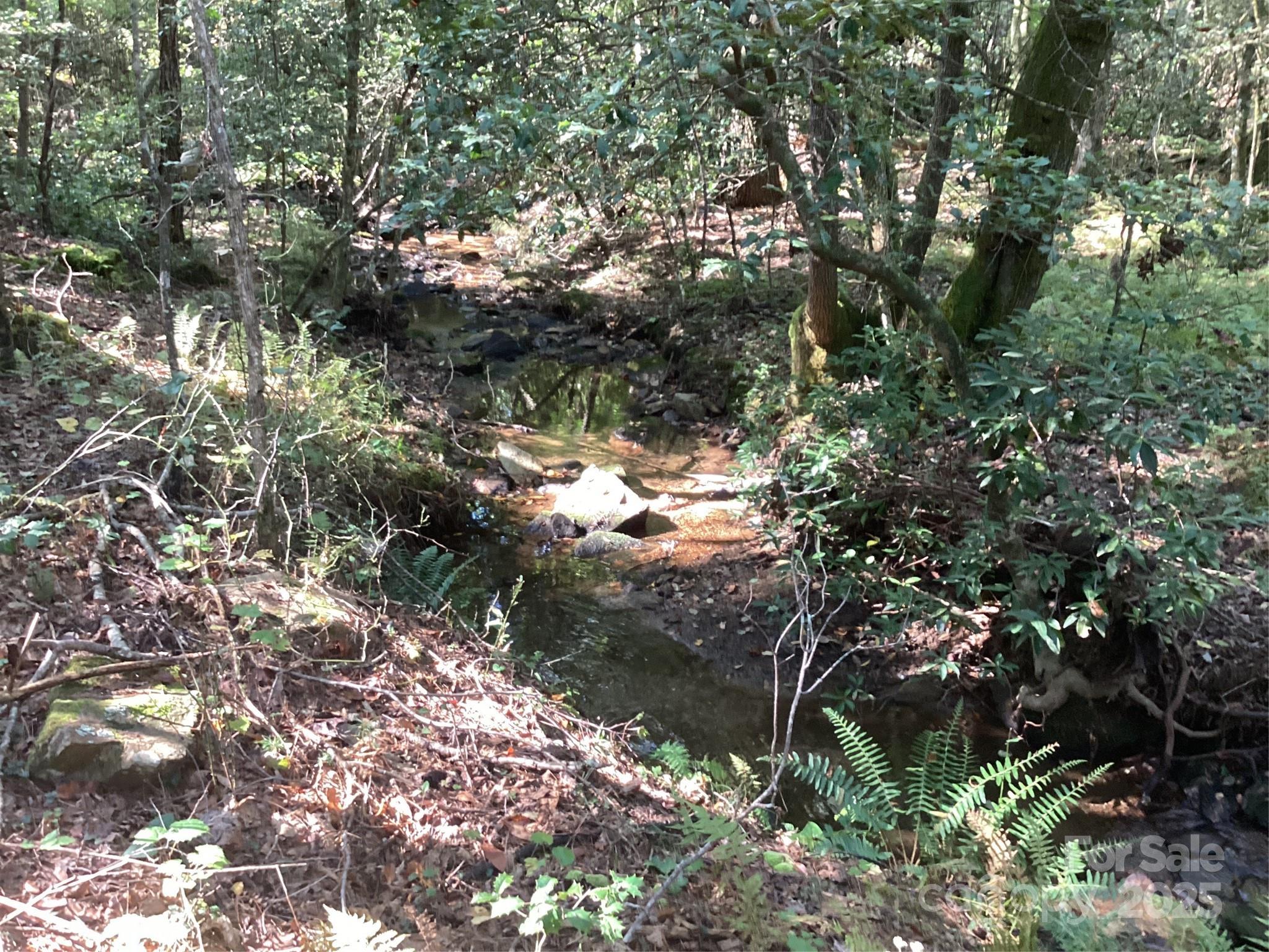 0 Chestnut Oak Trail Mill Spring, NC 28756 - Photo 17 of 37 a view of a tree in a yard