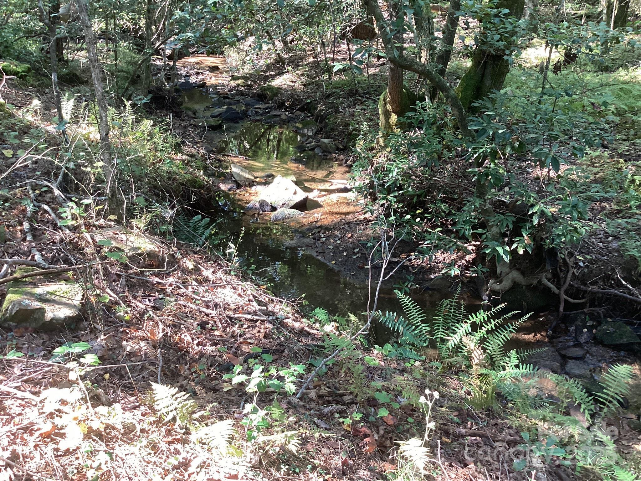 0 Chestnut Oak Trail Mill Spring, NC 28756 - Photo 18 of 37 a view of a forest with lots of trees