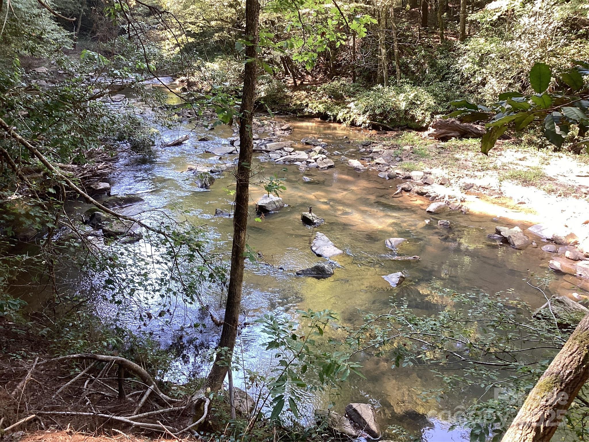 0 Chestnut Oak Trail Mill Spring, NC 28756 - Photo 19 of 37 a view of a tree