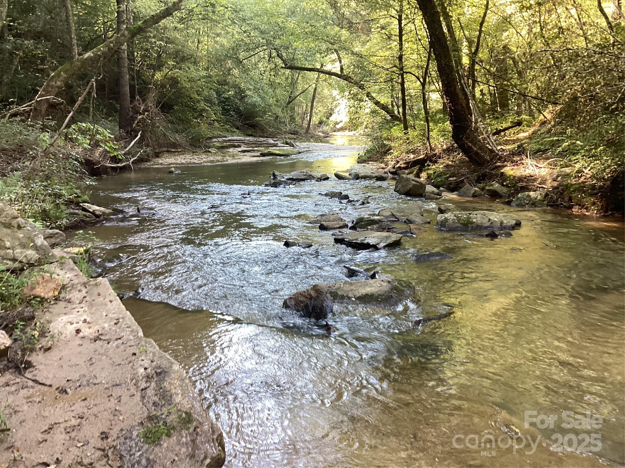 0 Chestnut Oak Trail Mill Spring, NC 28756 - Photo 20 of 37 a view of a yard with plants and trees