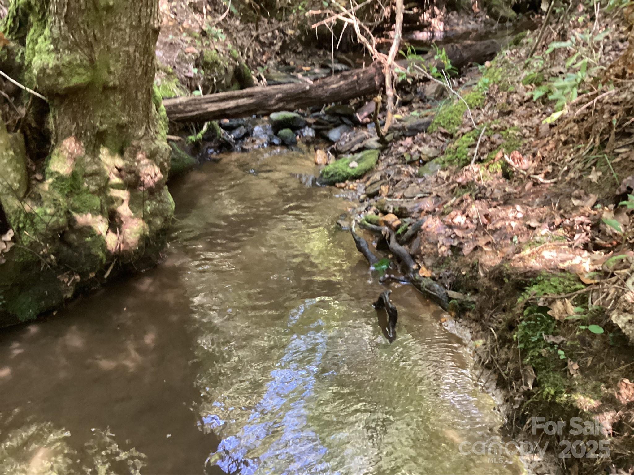 0 Chestnut Oak Trail Mill Spring, NC 28756 - Photo 2 of 37 a view of a yard with plants and large trees
