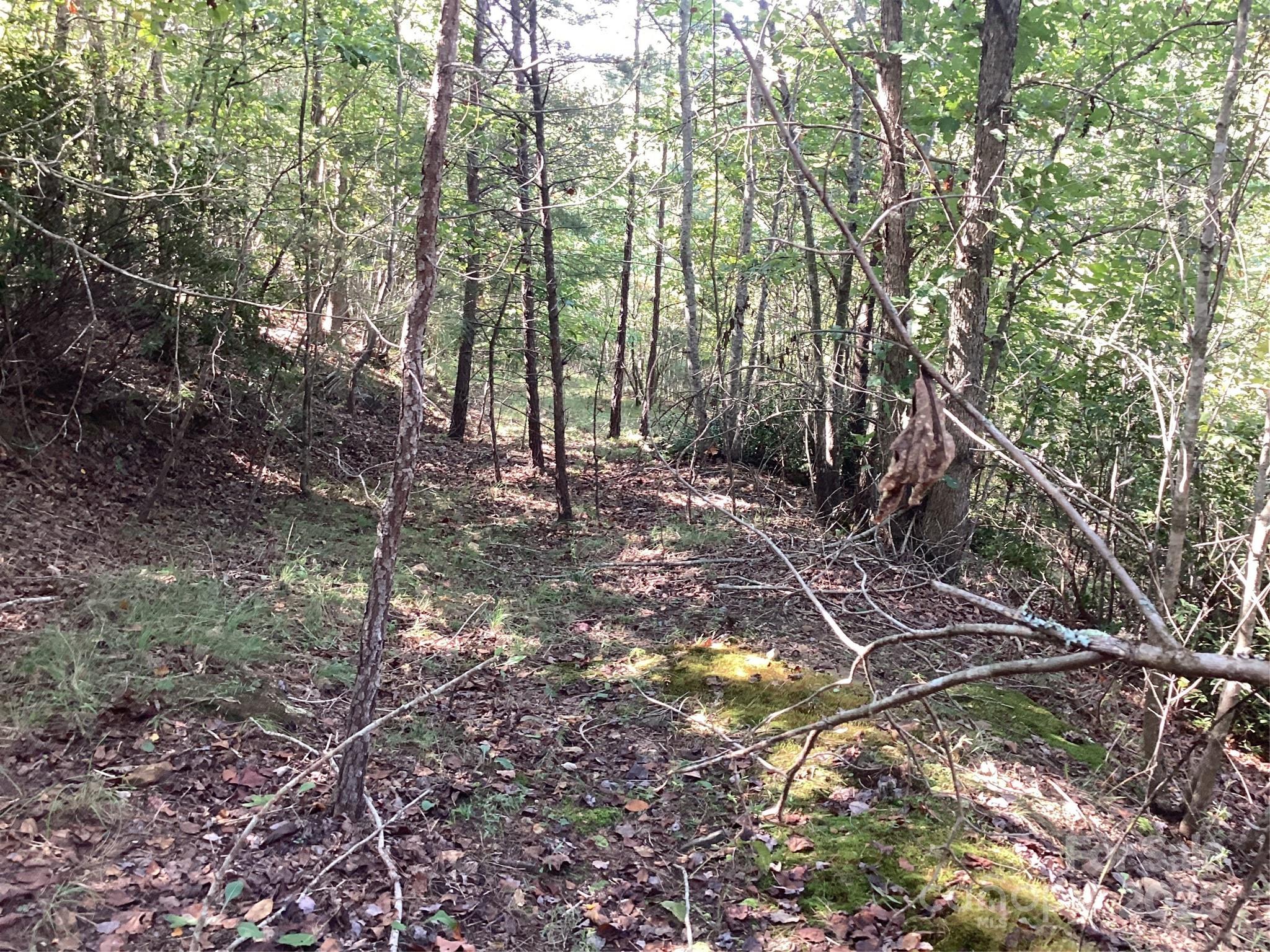 0 Chestnut Oak Trail Mill Spring, NC 28756 - Photo 22 of 37 a backyard of a house with lots of green space