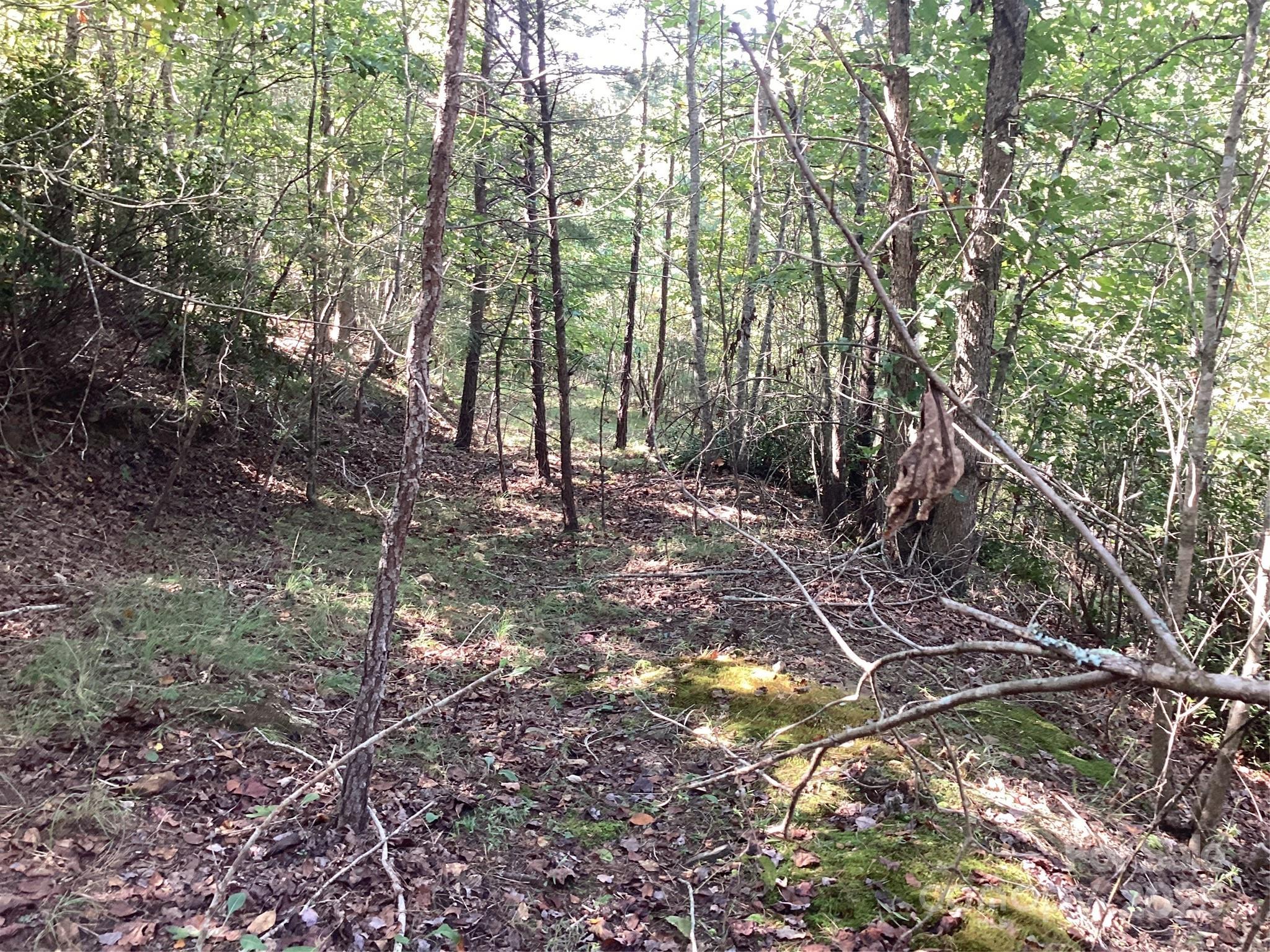 0 Chestnut Oak Trail Mill Spring, NC 28756 - Photo 23 of 37 a backyard of a house with lots of green space