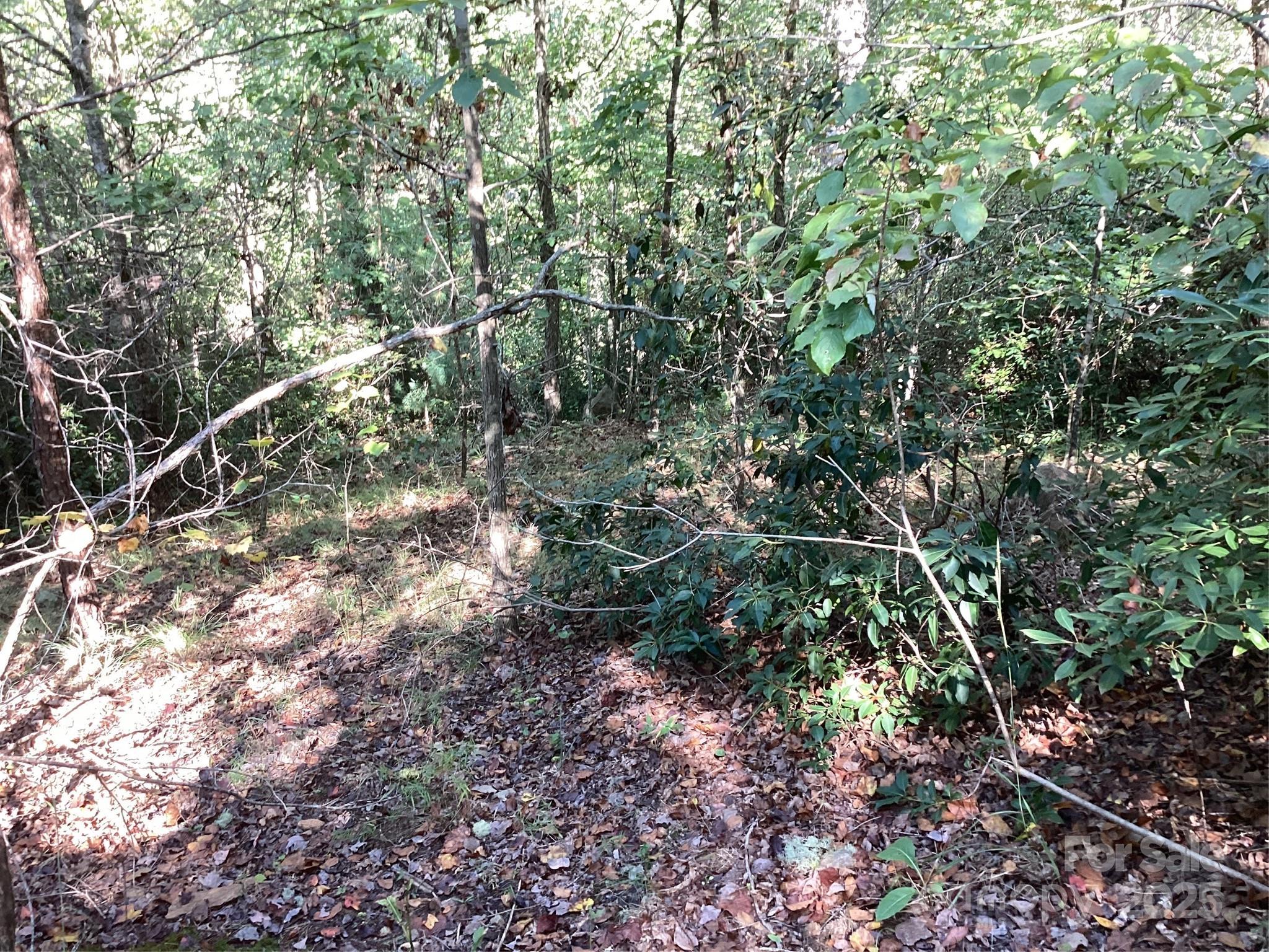 0 Chestnut Oak Trail Mill Spring, NC 28756 - Photo 24 of 37 a view of a tree in a yard