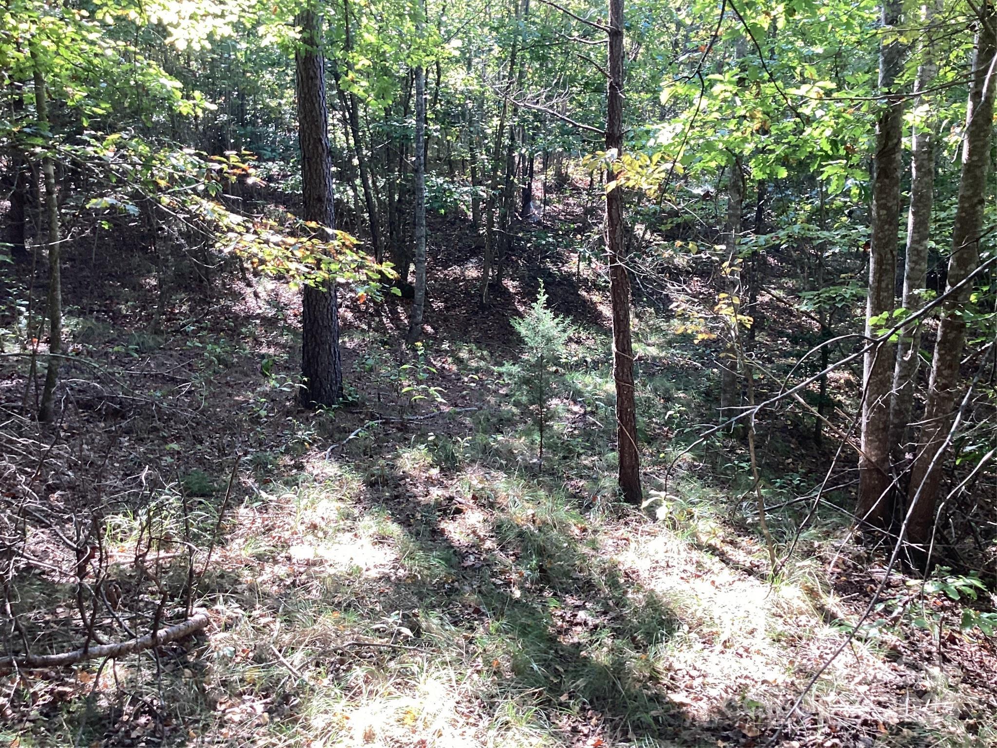 0 Chestnut Oak Trail Mill Spring, NC 28756 - Photo 25 of 37