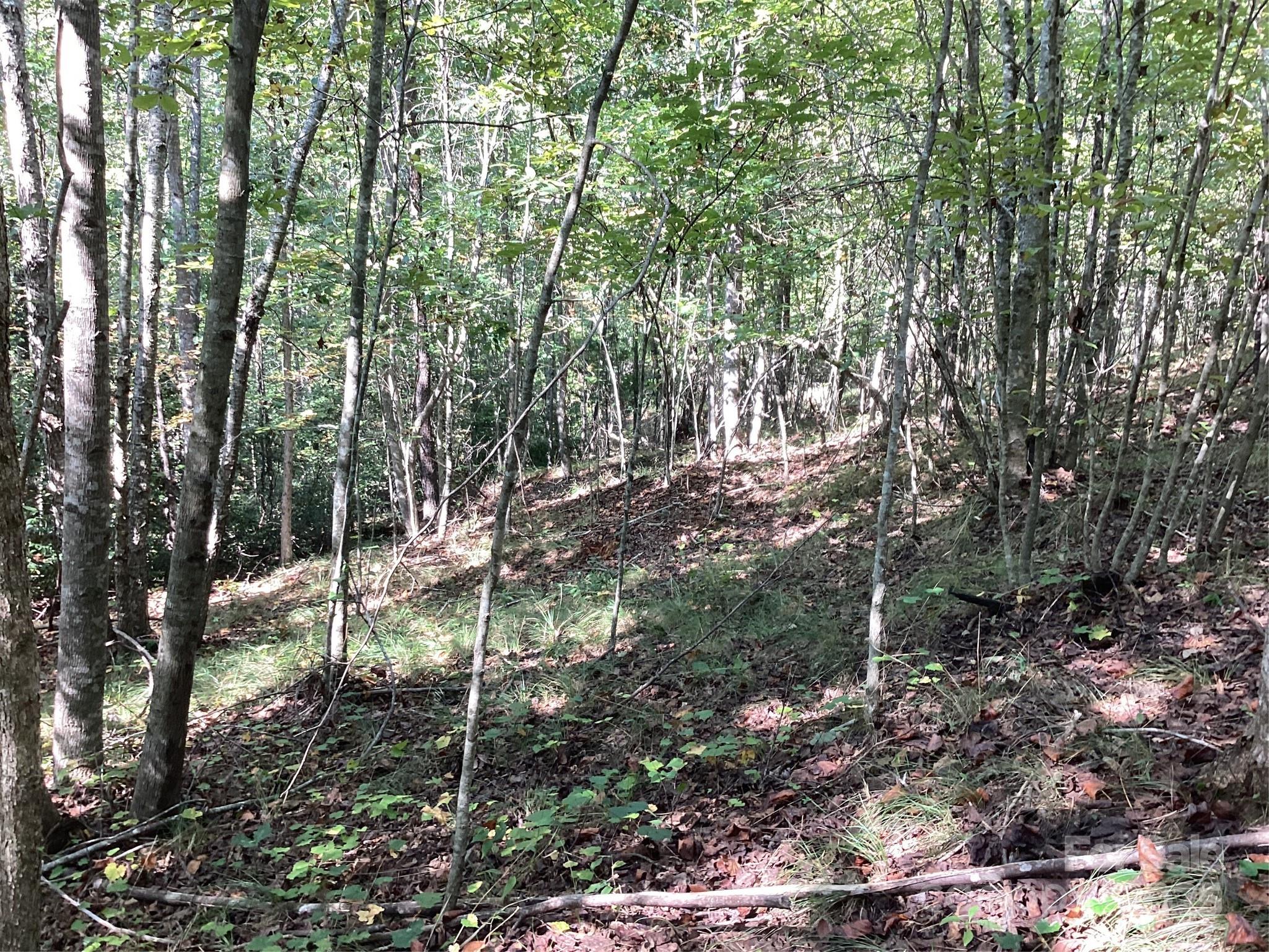 0 Chestnut Oak Trail Mill Spring, NC 28756 - Photo 26 of 37 a view of a house with a tree