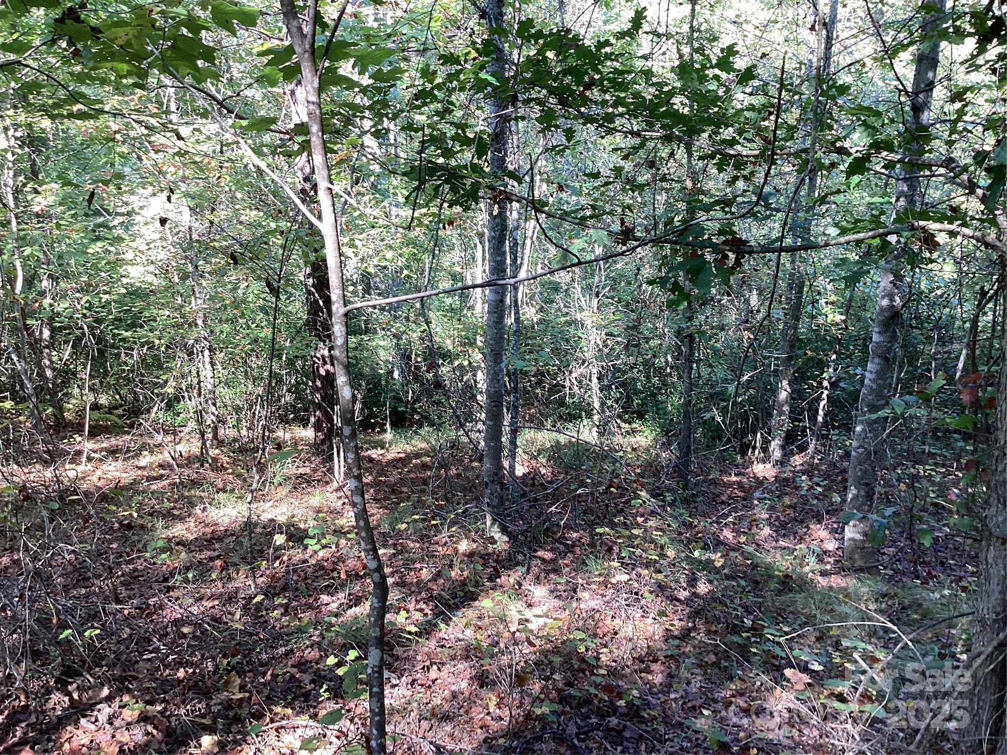 0 Chestnut Oak Trail Mill Spring, NC 28756 - Photo 27 of 37 a backyard of a house with lots of green space