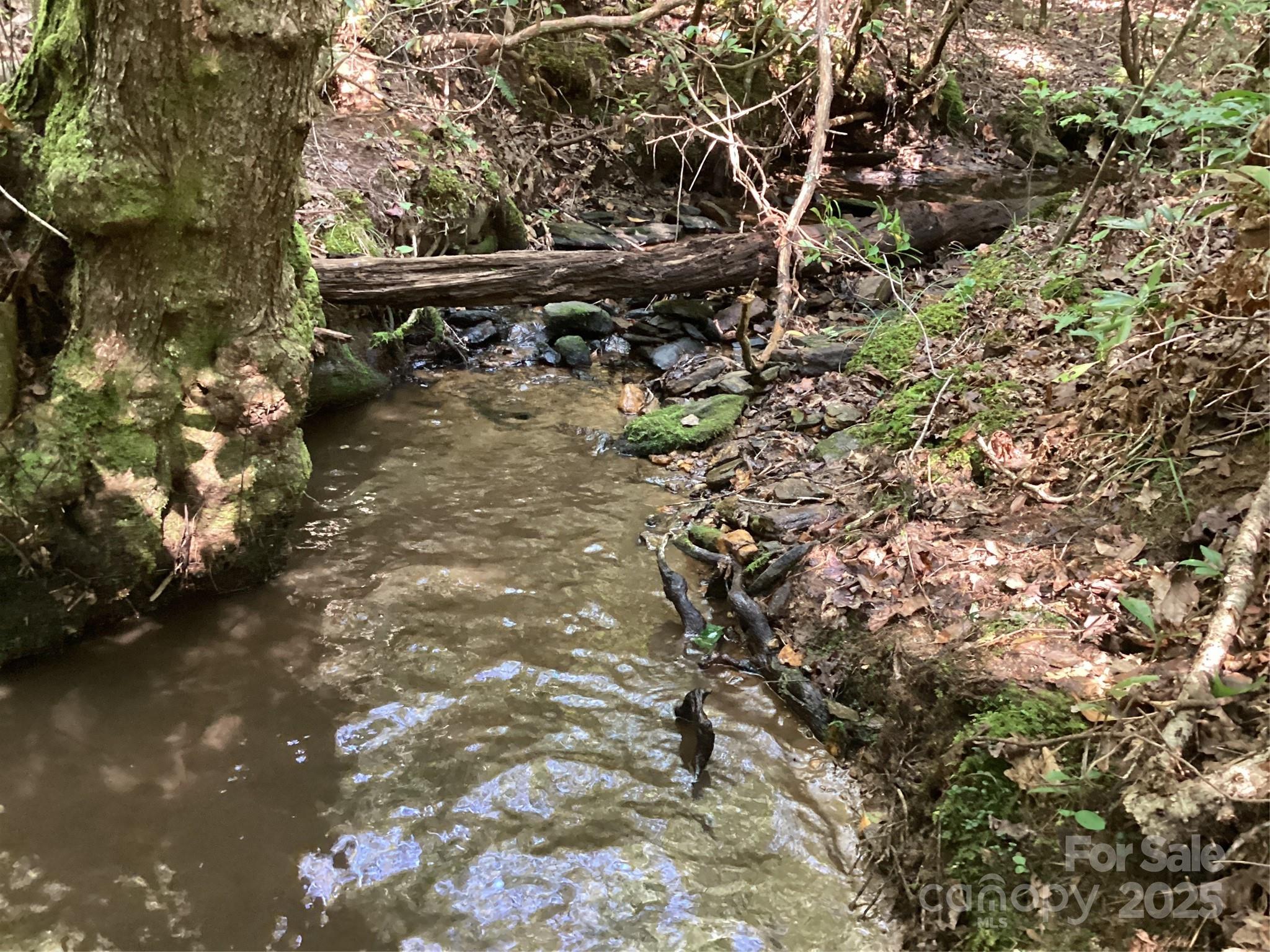 0 Chestnut Oak Trail Mill Spring, NC 28756 - Photo 30 of 37 a backyard of a house with lots of green space