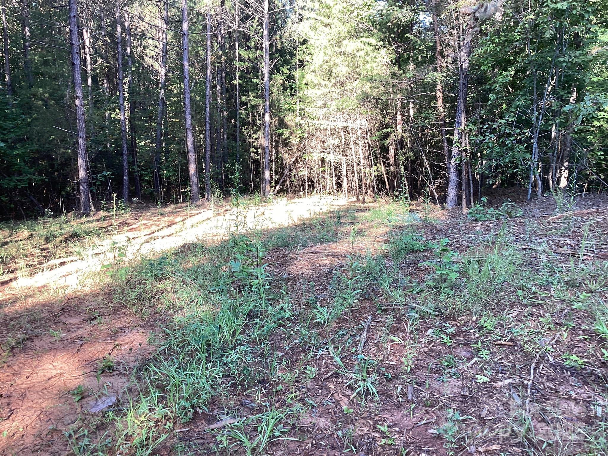 0 Chestnut Oak Trail Mill Spring, NC 28756 - Photo 3 of 37 a view of backyard with tree