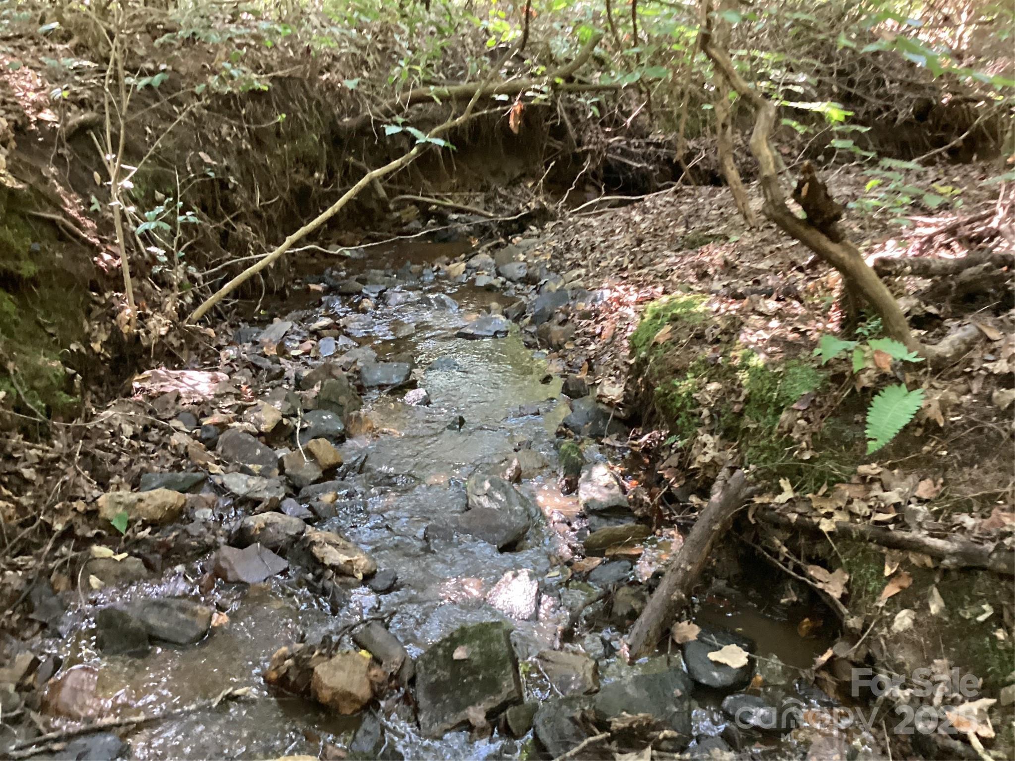 0 Chestnut Oak Trail Mill Spring, NC 28756 - Photo 31 of 37 a backyard of a house