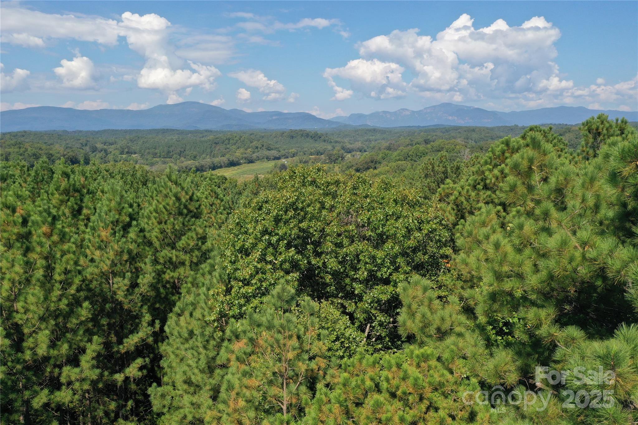 0 Chestnut Oak Trail Mill Spring, NC 28756 - Photo 32 of 37 a view of a city and lush green forest