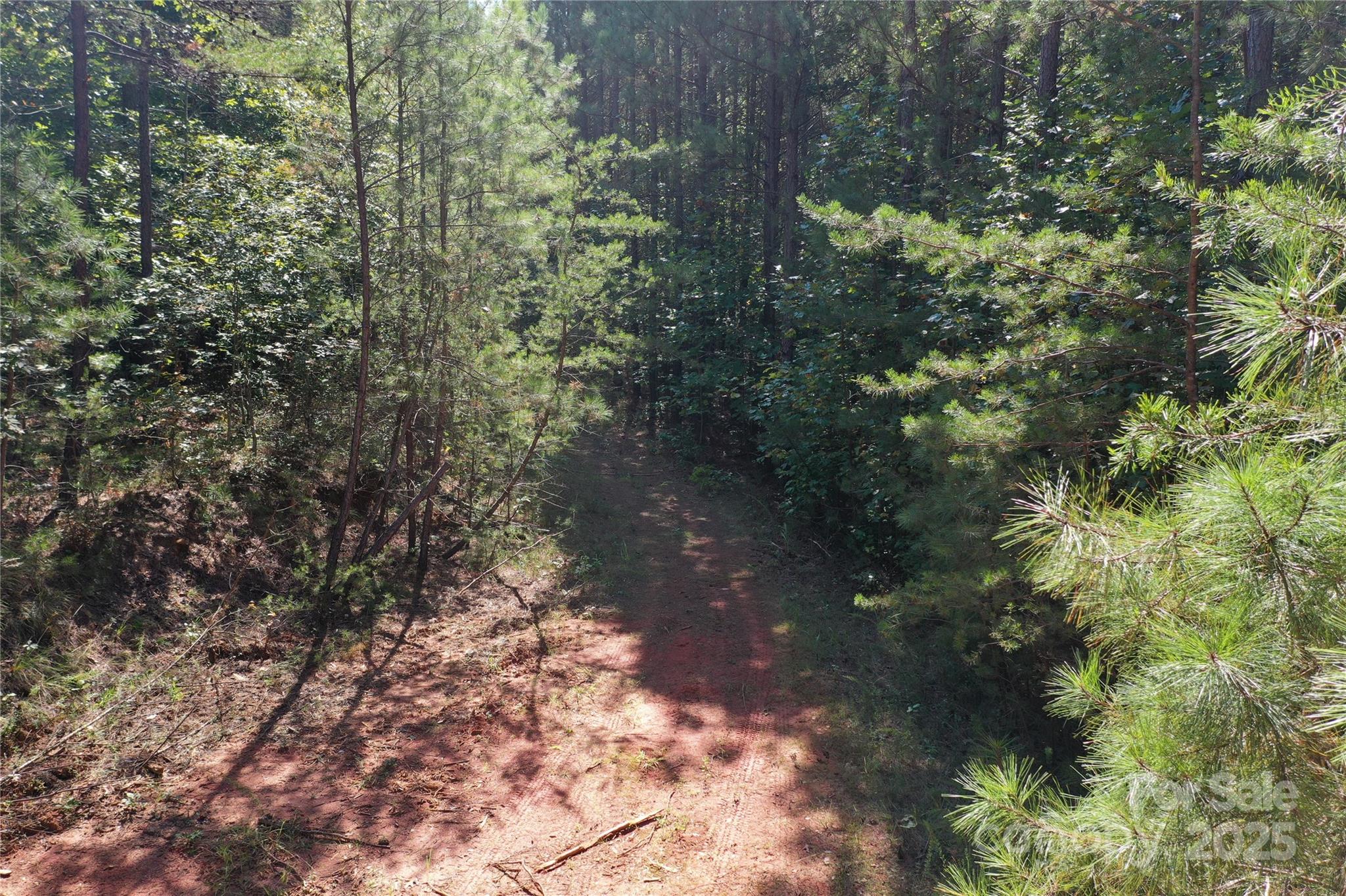 0 Chestnut Oak Trail Mill Spring, NC 28756 - Photo 33 of 37 a view of a yard with plants and trees