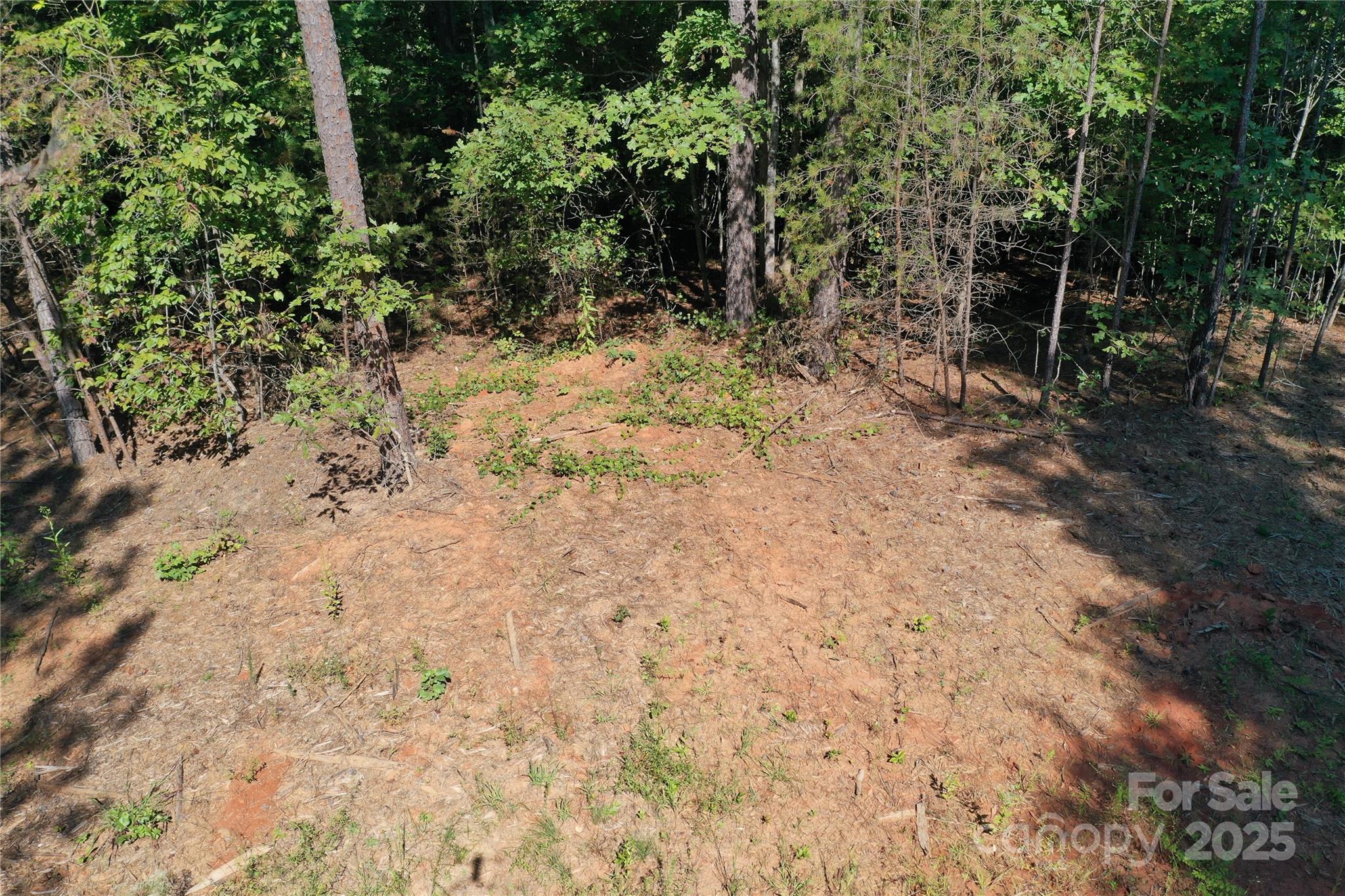 0 Chestnut Oak Trail Mill Spring, NC 28756 - Photo 35 of 37 a view of a yard with plants and trees