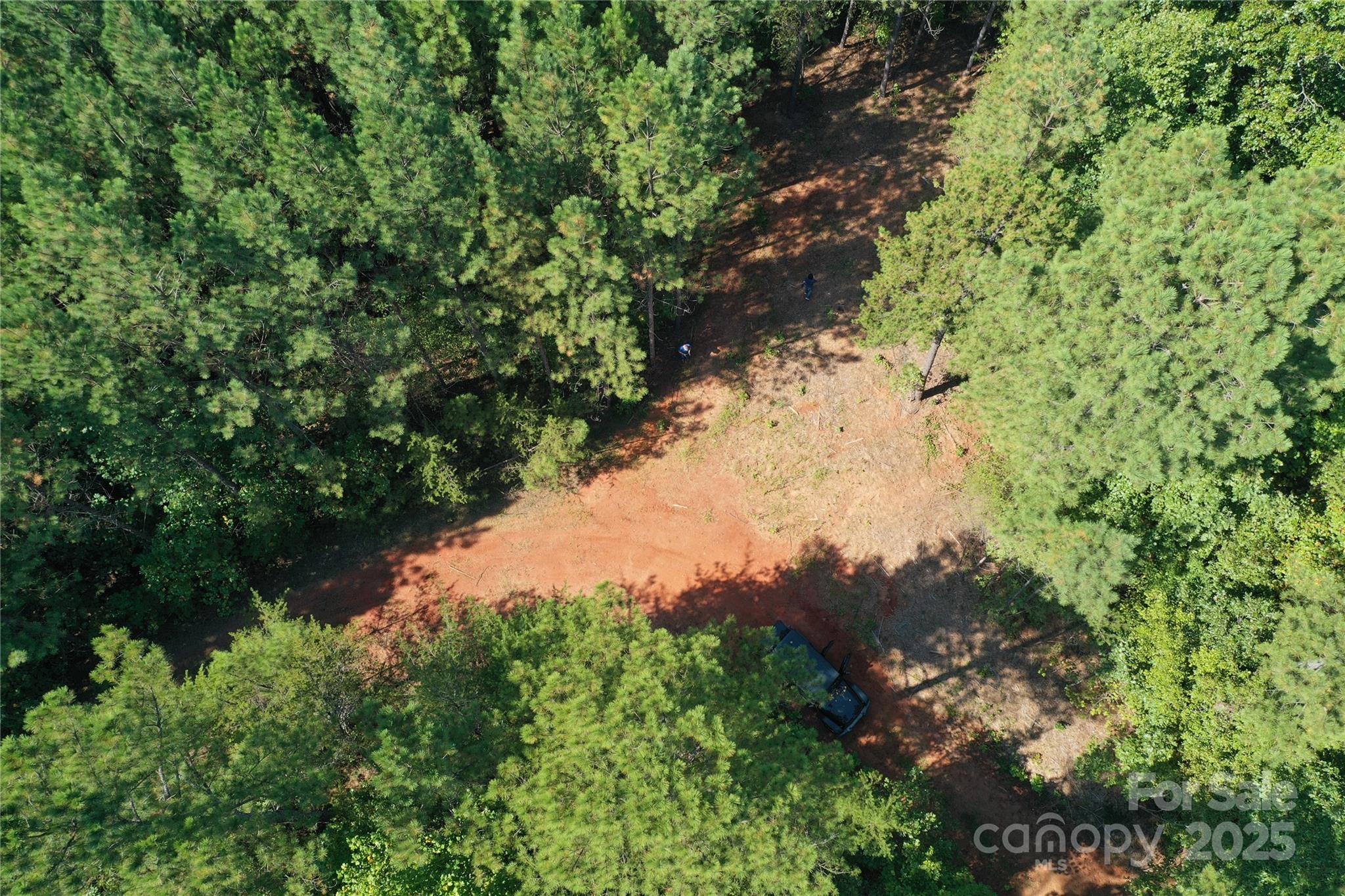 0 Chestnut Oak Trail Mill Spring, NC 28756 - Photo 36 of 37 a view of a lake in a forest