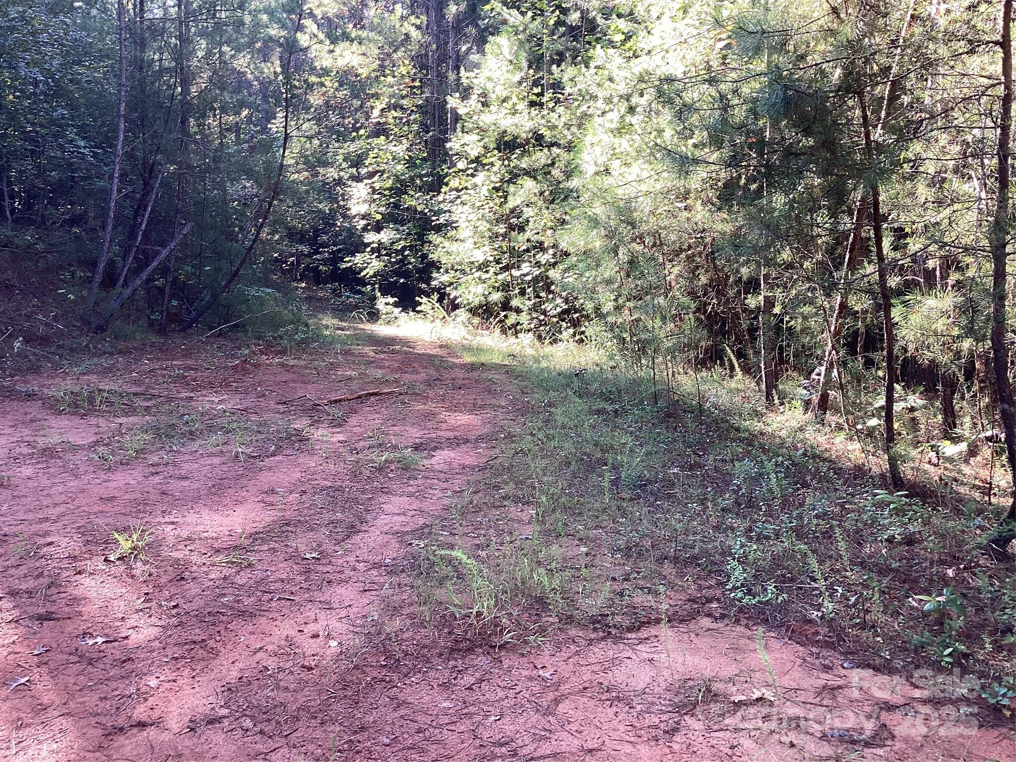 0 Chestnut Oak Trail Mill Spring, NC 28756 - Photo 4 of 37 a view of a yard with a tree