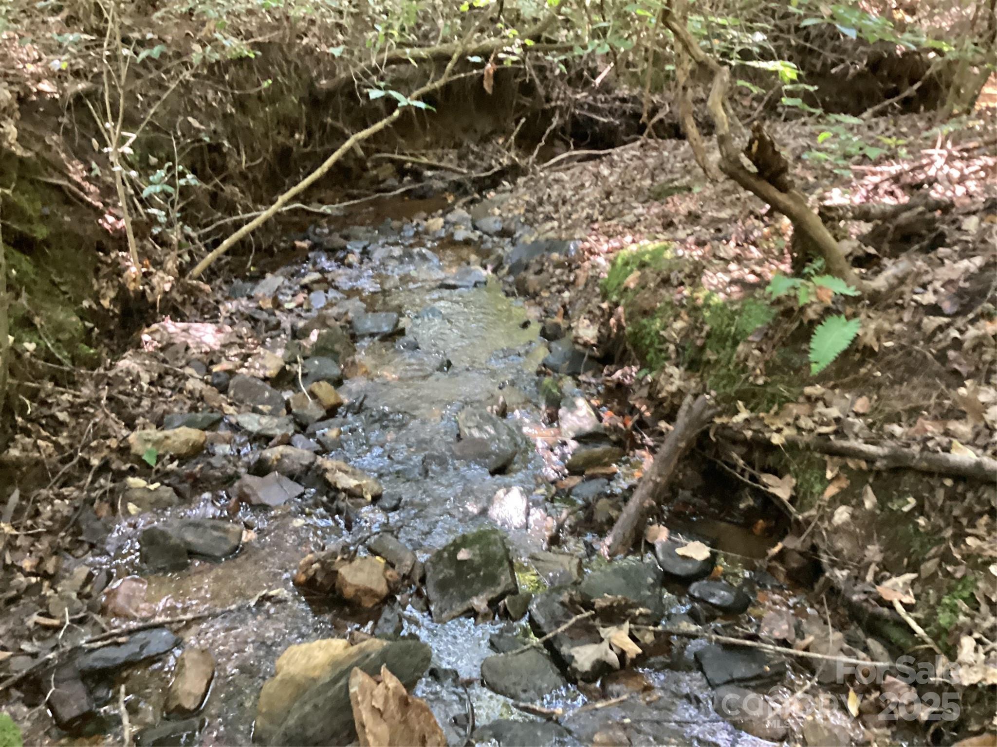 0 Chestnut Oak Trail Mill Spring, NC 28756 - Photo 5 of 37 a backyard of a house