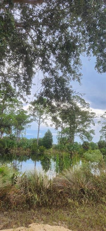 9 Southwest 104th Court Cedar Key, FL 32625 - Photo 5 of 5 a view of a lake with lots of trees