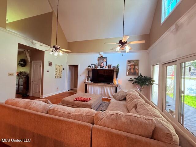 704 Ball Tylertown, MS 39667 - Photo 8 of 36 IMG_0383 - Copy