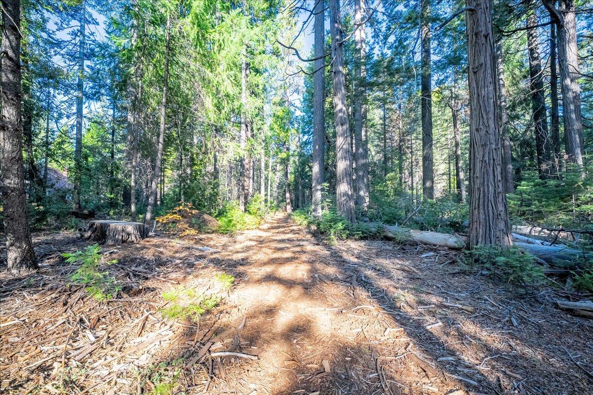 10399 Wentworth Springs Road Georgetown, CA 95634 - Photo 38 of 45