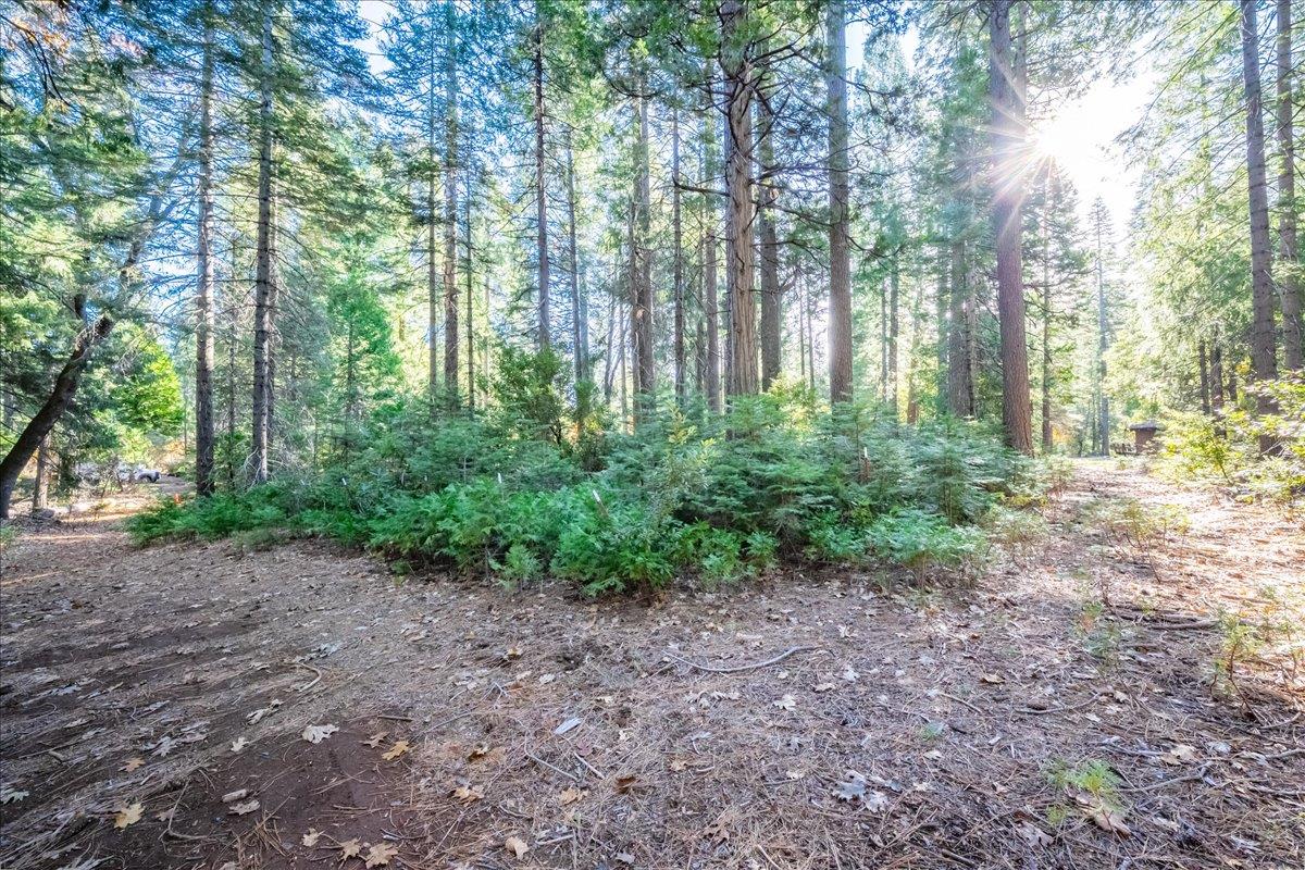 10399 Wentworth Springs Road Georgetown, CA 95634 - Photo 40 of 45