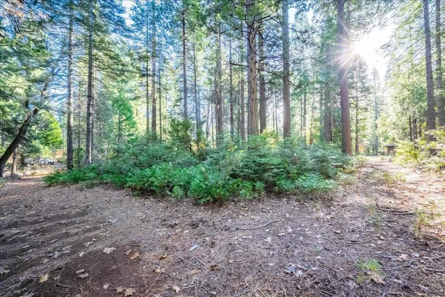 $279,000 | 10399 Wentworth Springs Road, Georgetown, CA 95634