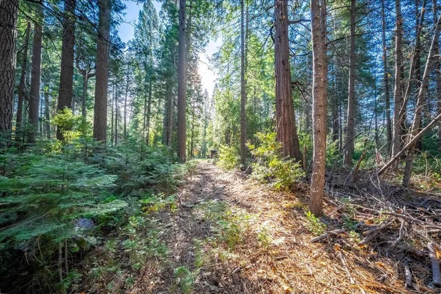 $279,000 | 10399 Wentworth Springs Road, Georgetown, CA 95634