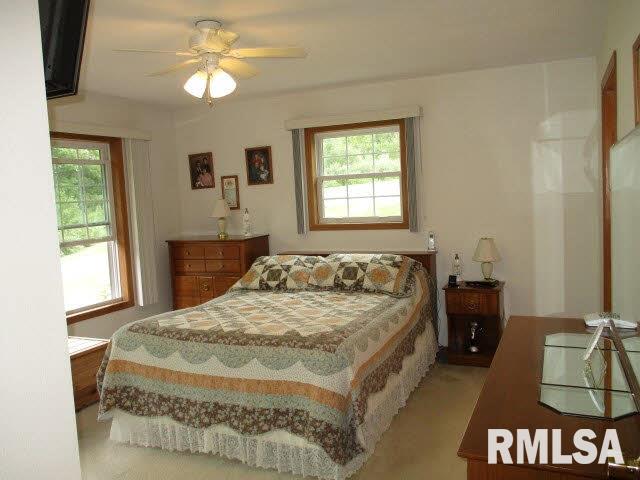 657 Cedar Valley Road Tipton, IA 52772 - Photo 13 of 24 Gallery Image 13