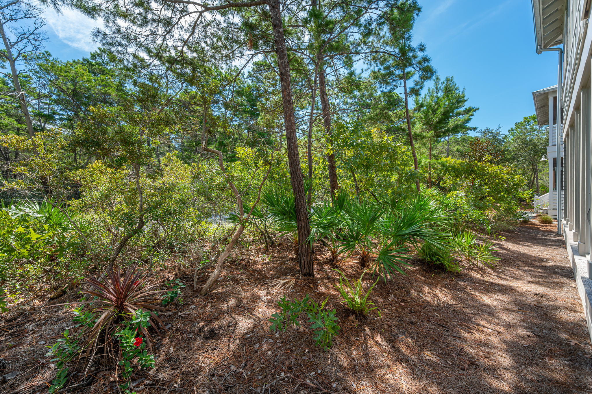 295 Matt's Way Santa Rosa Beach, FL 32459 - Photo 20 of 48 a view of a large yard with lots of green space