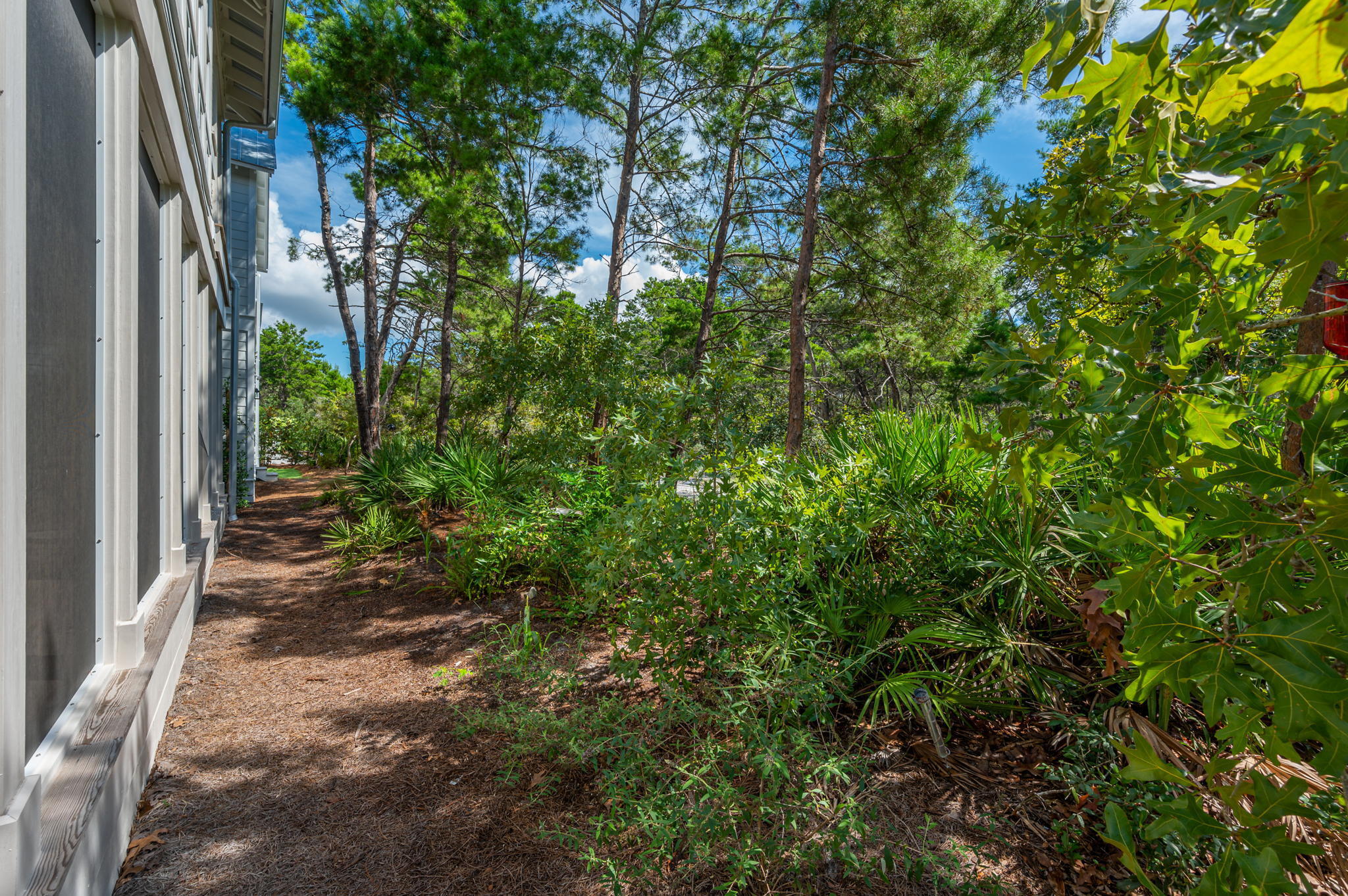 295 Matt's Way Santa Rosa Beach, FL 32459 - Photo 21 of 48 a view of yard