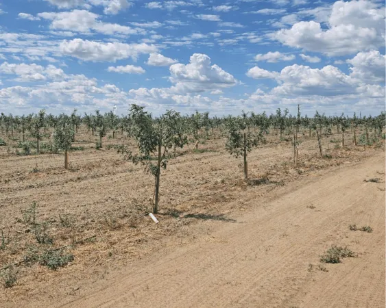 $6,240,000 | Undisclosed Address, Lemoore, CA 93245