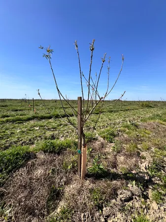 $5,000,000 | Undisclosed Address, Lemoore, CA 93245