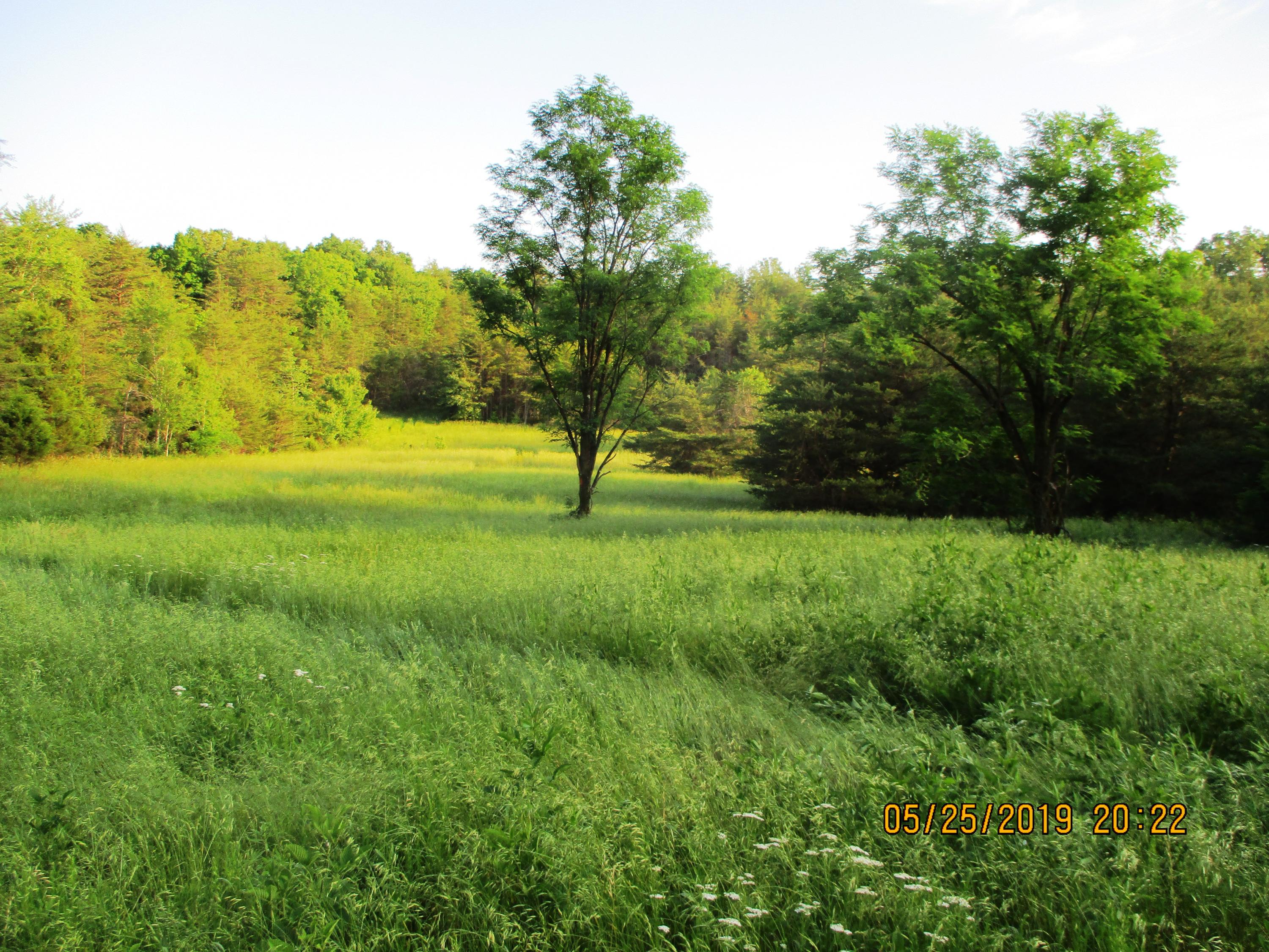682 Clifty Road Sparta, TN 38583 - Photo 1 of 6 IMG_0330
