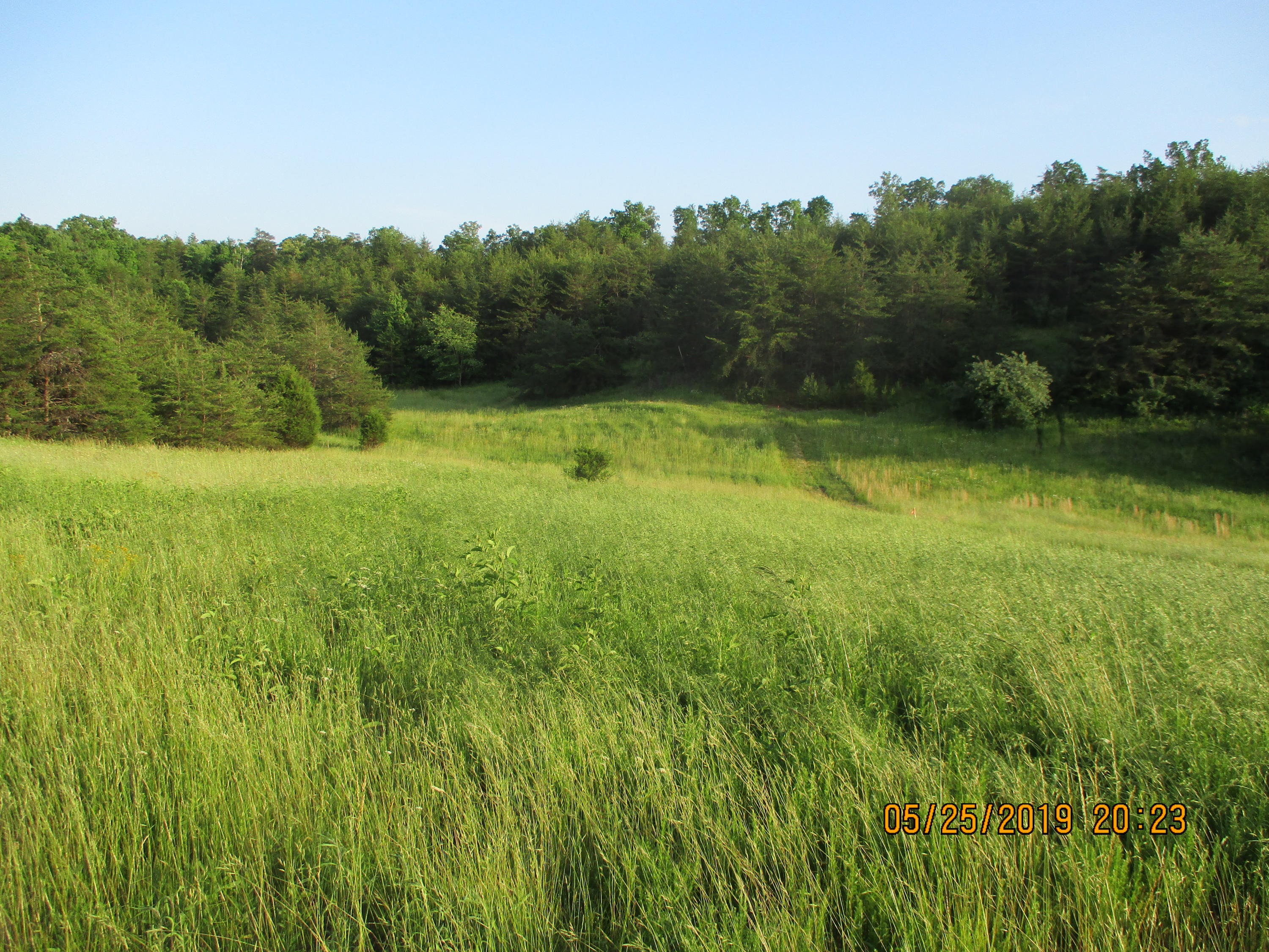 682 Clifty Road Sparta, TN 38583 - Photo 2 of 6 IMG_0332