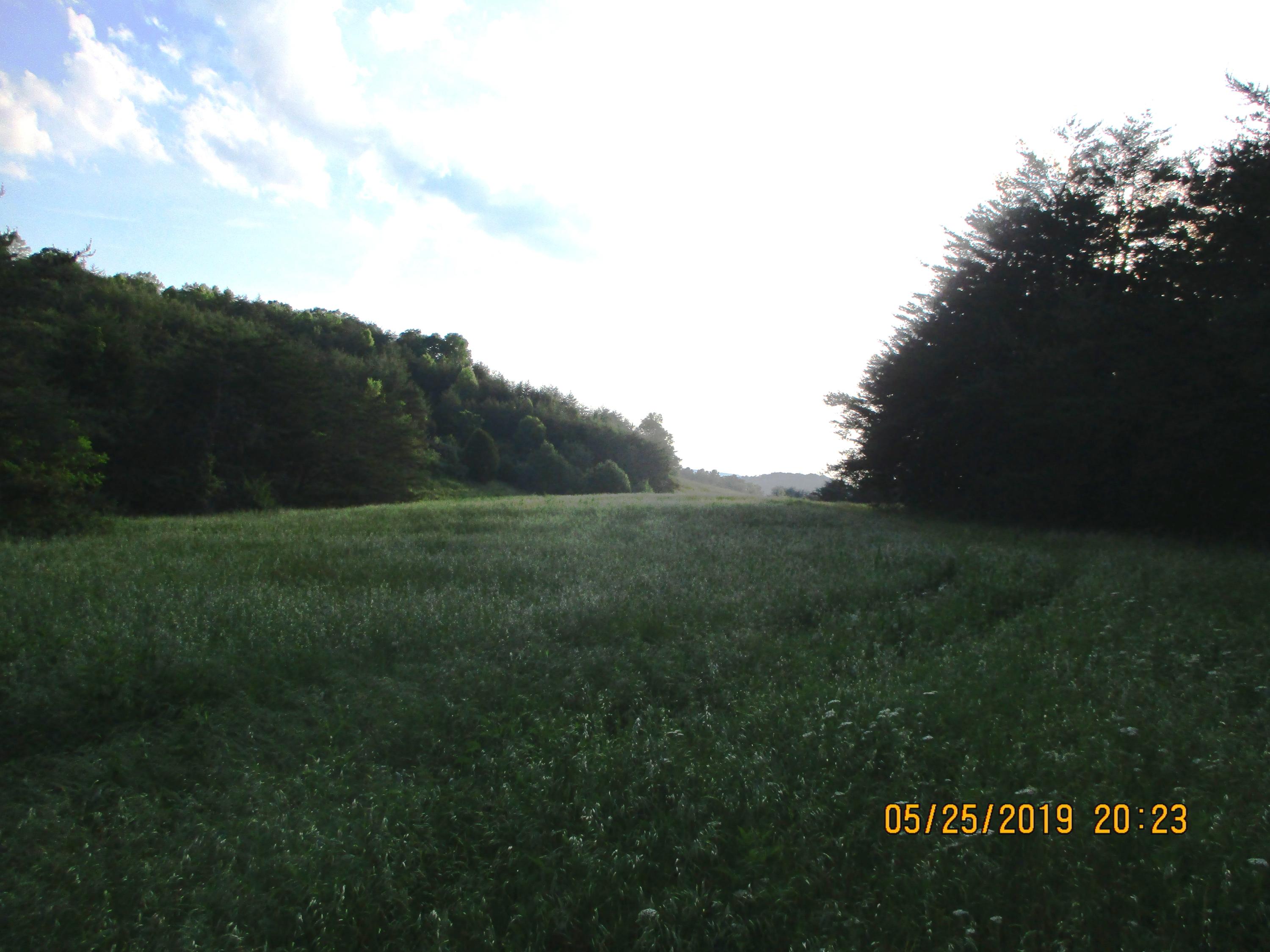 682 Clifty Road Sparta, TN 38583 - Photo 3 of 6 IMG_0331