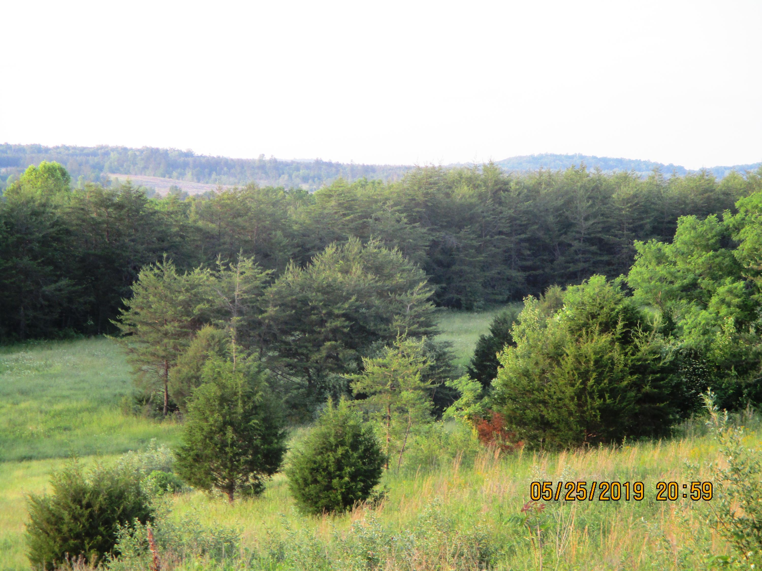 682 Clifty Road Sparta, TN 38583 - Photo 5 of 6 IMG_0334