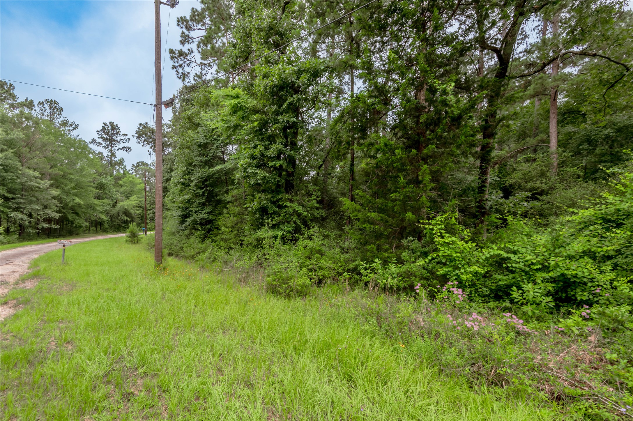 Lot 55 Post Oak Circle Trinity, TX 75862 - Photo 1 of 31