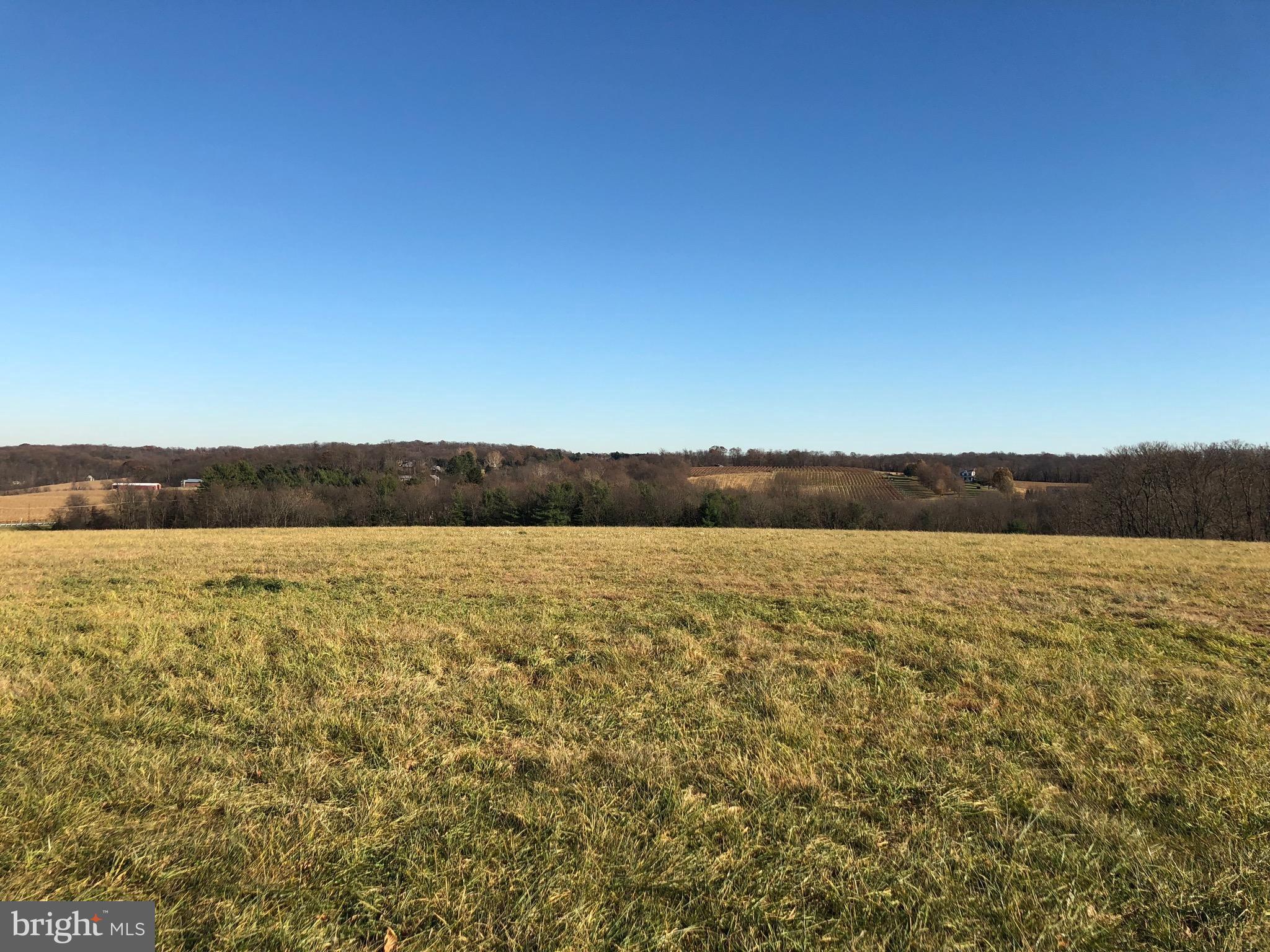 Liberty Rd Mount Mount Airy, MD 21771 - Photo 11 of 19 View