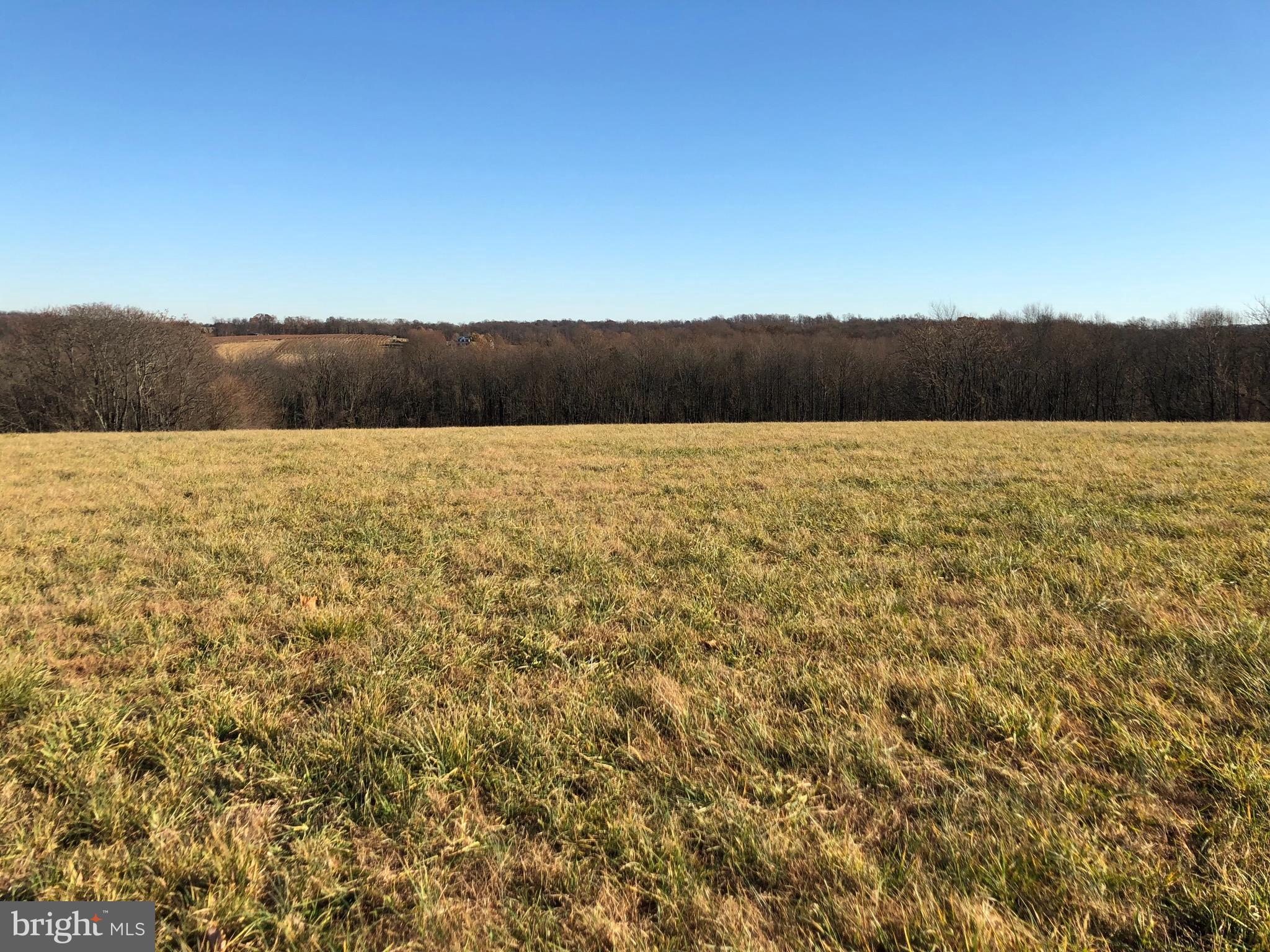 Liberty Rd Mount Mount Airy, MD 21771 - Photo 13 of 19 View