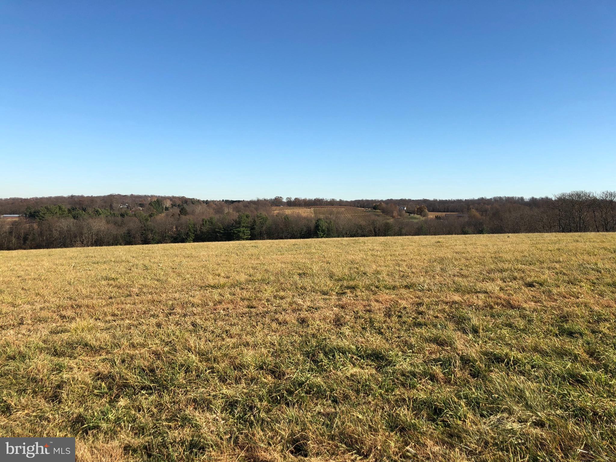Liberty Rd Mount Mount Airy, MD 21771 - Photo 5 of 19 View