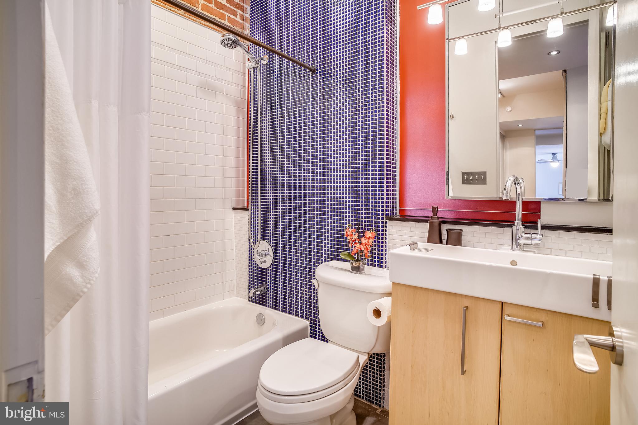 1322 Riggs Street Northwest Washington, DC 20009 - Photo 26 of 40 Hall Bathroom