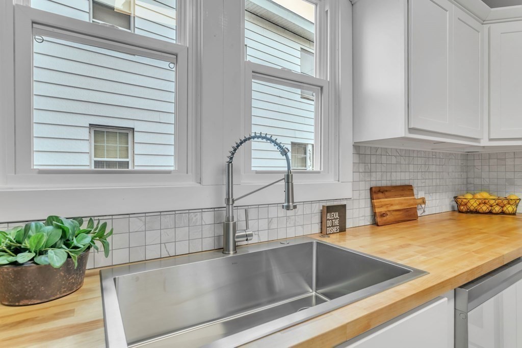 34 Brunswick Street Springfield, MA 01108 - Photo 14 of 31 a kitchen with a sink and a potted plant