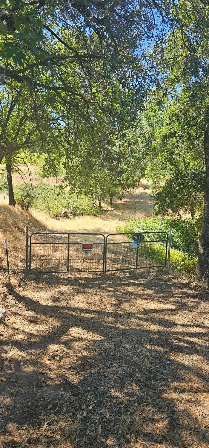 7040 Idlewild Road Somerset, CA 95684 - Photo 9 of 18 Gallery Image 9
