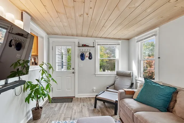 a living room with furniture and a potted plant