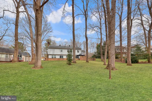 a view of a park with a tree