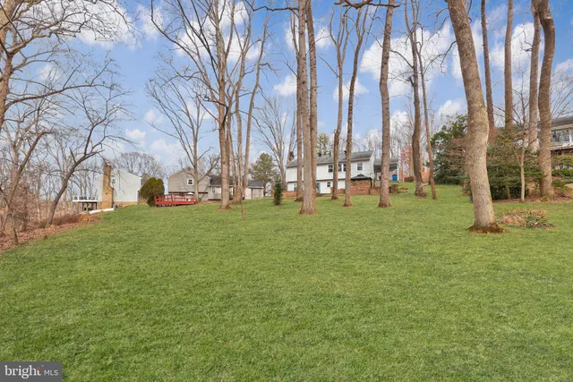 a view of a park with large trees