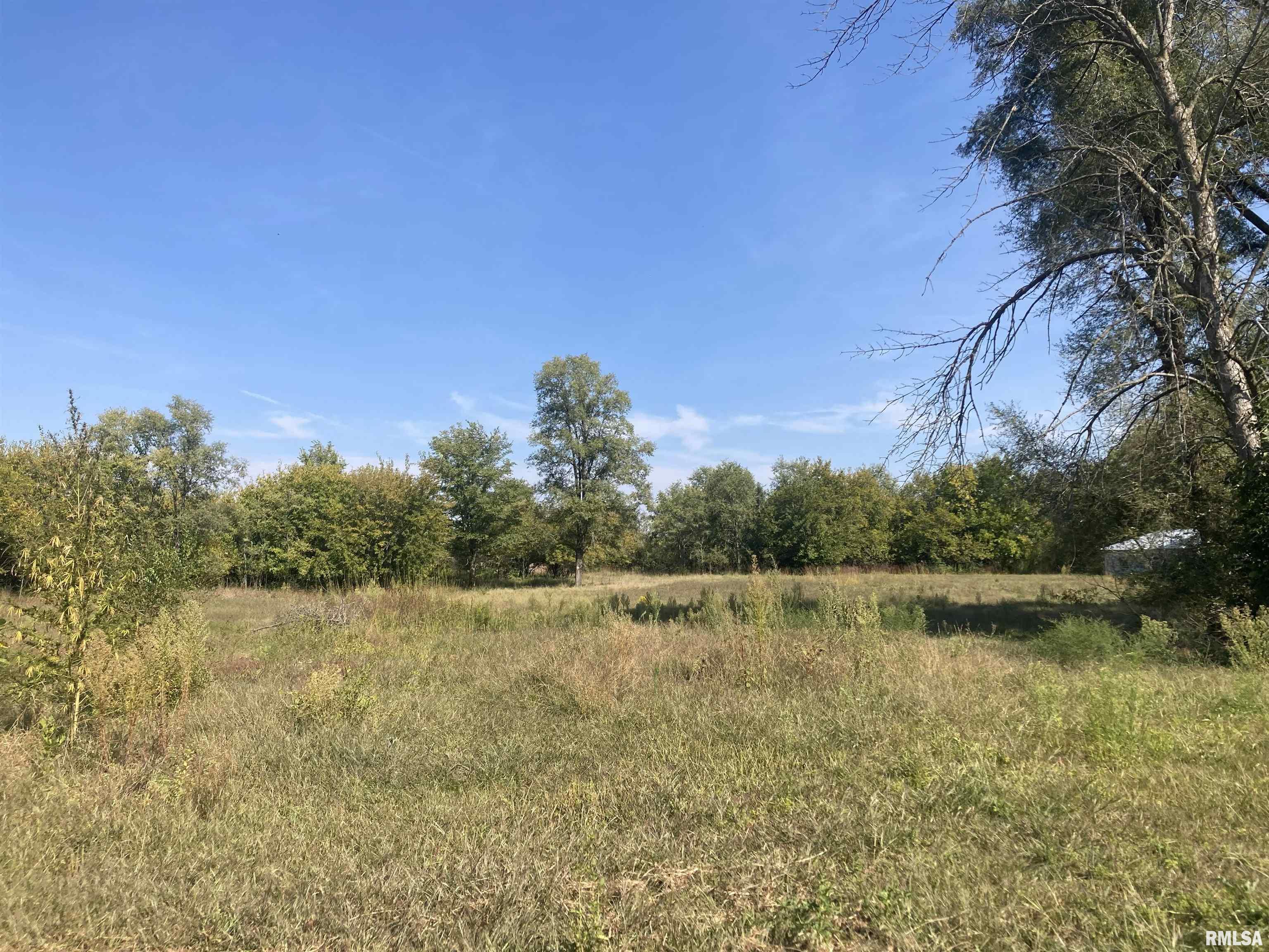 28597 Ropp Road Geneseo, IL 61254 - Photo 22 of 25