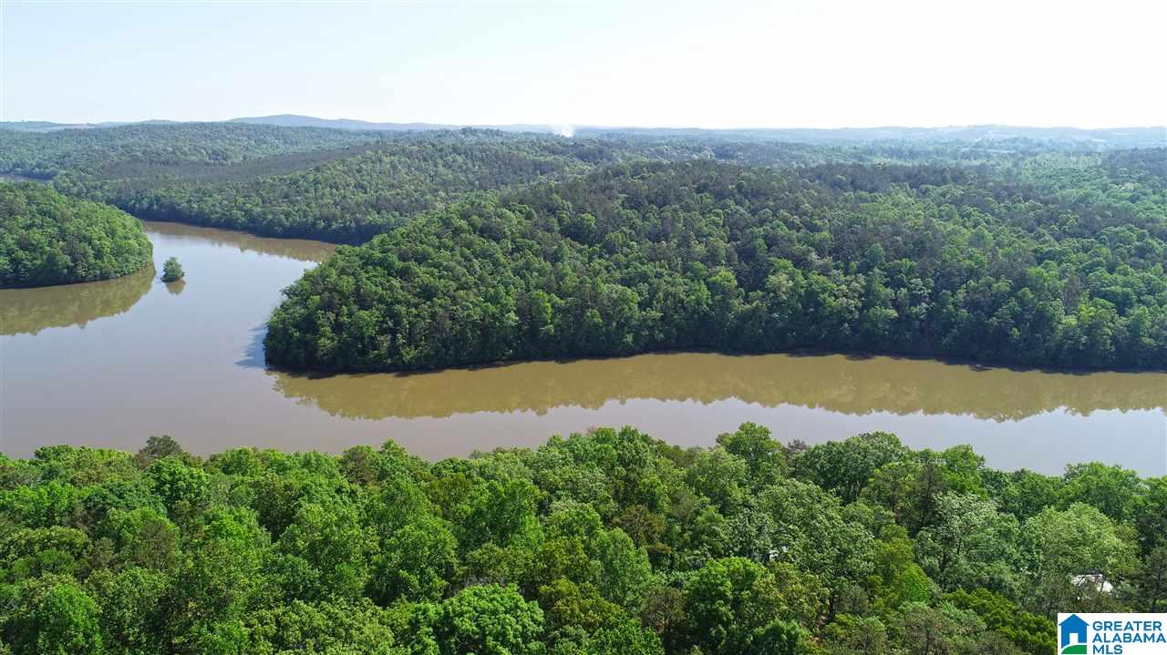 2011 County Road Wedowee, AL 36278 - Photo 2 of 6
